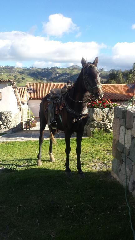 Hosteria La Condesa Honorato Vásquez Esterno foto